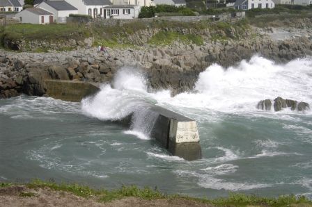 PIC_0007.jpg